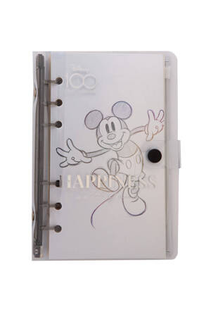 COOLPACK NOTES DISNEY A5 PVC 160K 60411PTR