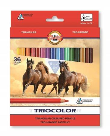 Kredki Triocolor 36 kolorów Koh I Noor 3145